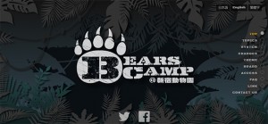 bearscamp